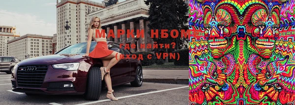 хмурый Алексин