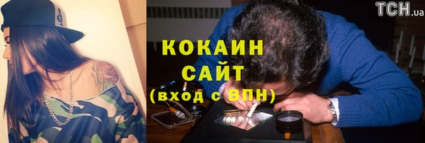 хмурый Алексин