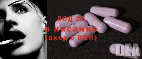 хмурый Алексин