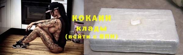 хмурый Алексин