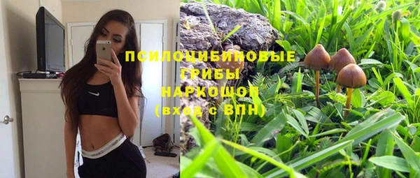 первитин Алексеевка