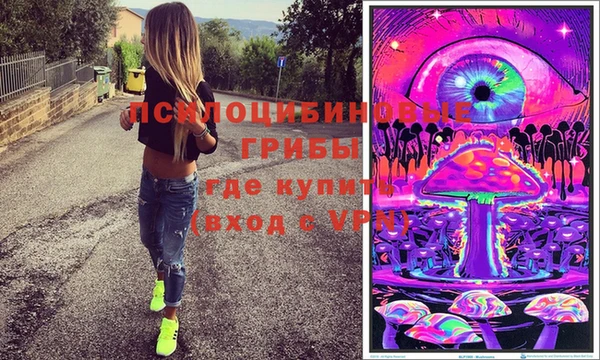 первитин Алексеевка