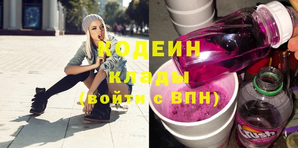 хмурый Алексин