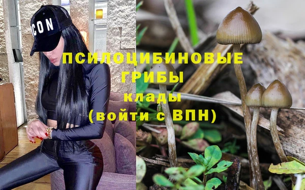 марихуана Новокубанск