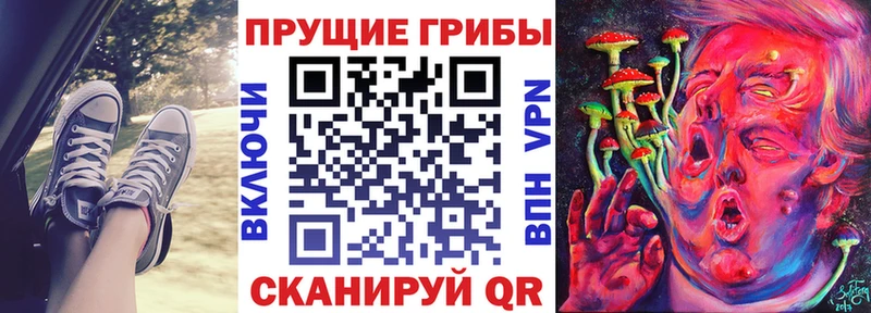 blacksprut рабочий сайт  Кулебаки  Галлюциногенные грибы мицелий  продажа наркотиков 