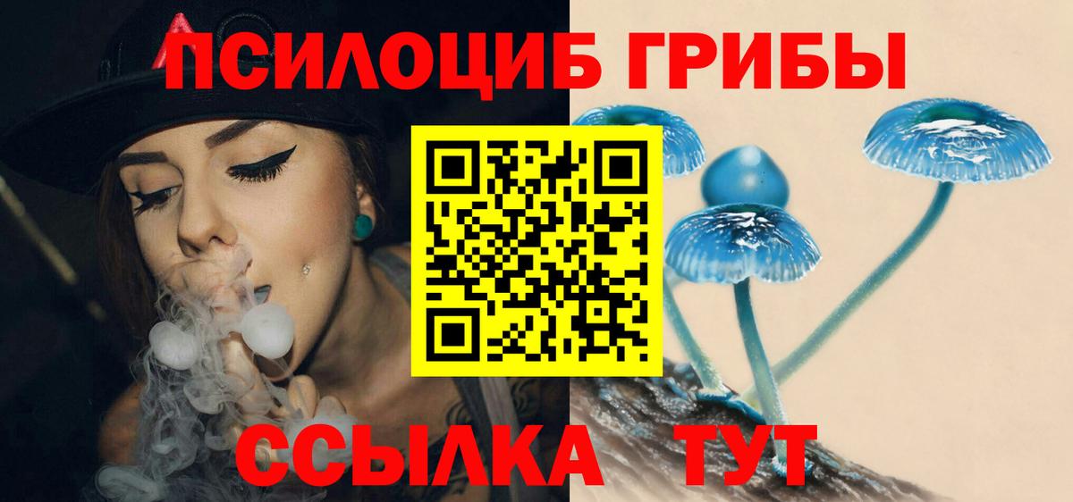 Галлюциногенные грибы мицелий  Псилоцибиновые грибы GOLDEN TEACHER  Кулебаки  купить   Вход с VPN 